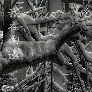 精品欧美一区二区三区
