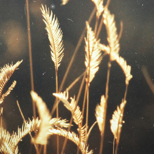 精品欧美一区二区三区
